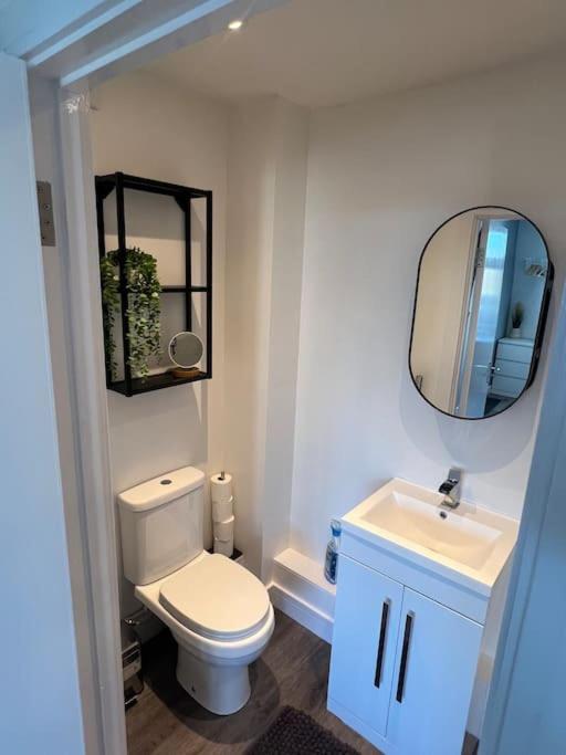Abbotsbury 1 Bed Studio Opposite Uwe Free Parking بريستول المظهر الخارجي الصورة